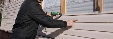 Best Custom Trim and Detailing for Siding  in Jasper, TX